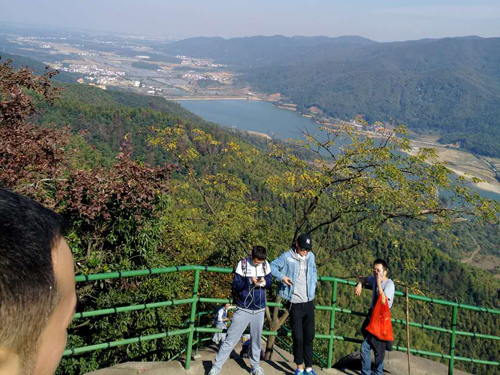牛宝体育app下载